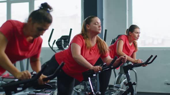 Healthy Caucasian Group of Women Exercising Workout on Stationary Cycling Machine Bike in Gym alt