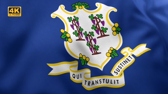 Connecticut State Flag - 4K alt