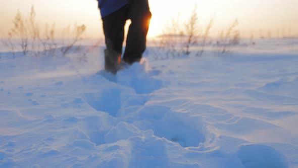 Silhouette of Man with a Backpack Walking in a Winter Landscape at Sunset alt