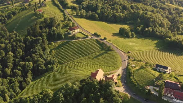 Aerial View of Vineyard Hills in South Styria Tuscany Like Landscape