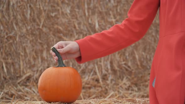 Young Girl Chooses a Pumpkin for Halloween