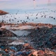 City Dump, Birds are Flying Overgarbage Hill - VideoHive Item for Sale