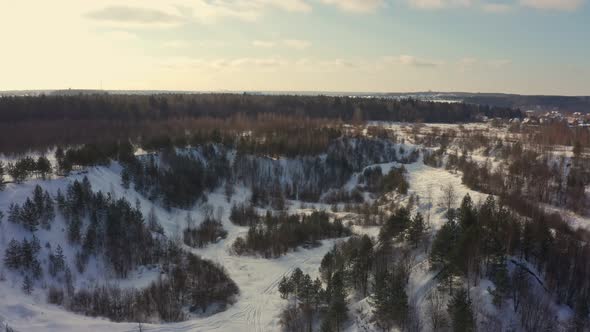 Winter and Green Forest on a Bright Sunny Day