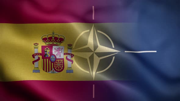 Nato Spain Flag Loop Background 4K