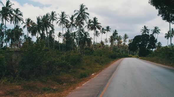 Island Asphalt Road Among Palm Thickets and Jungles in Africa ZanzibarTanzania
