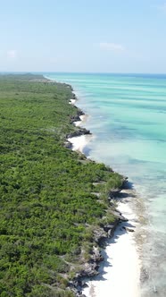 Tanzania  Vertical Video of the Ocean Near the Coast of Zanzibar Slow Motion alt