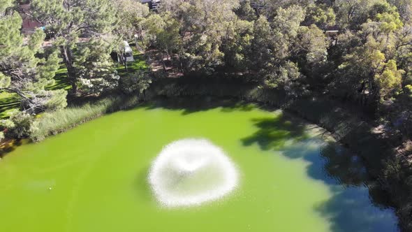 Aerial View of a Pond