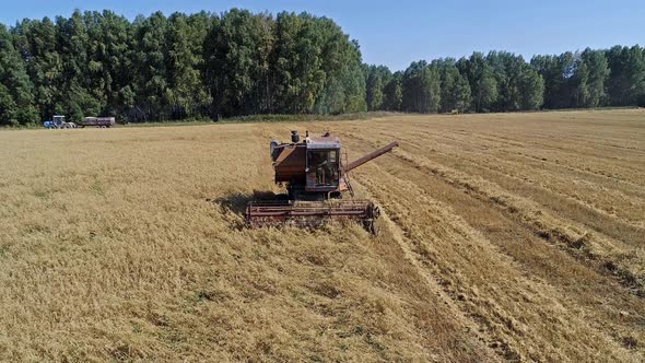 Harvesting of oats in summer.