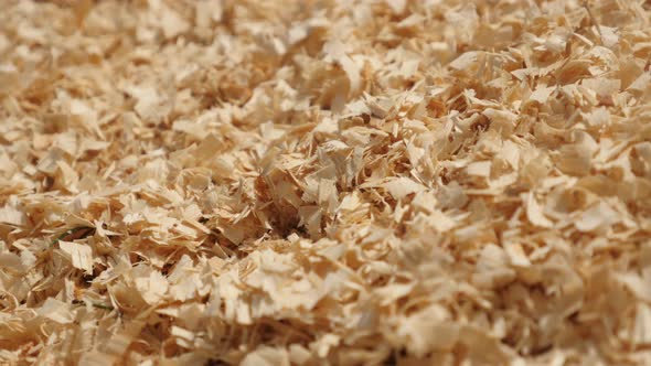Wood cutting scobs slow pan 4K 2160p 30fps UltraHD footage - Wooden sawdust shallow DOF 3840X2160 UH