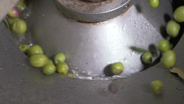 Olive oil production- machine washing olives- South of Italy alt