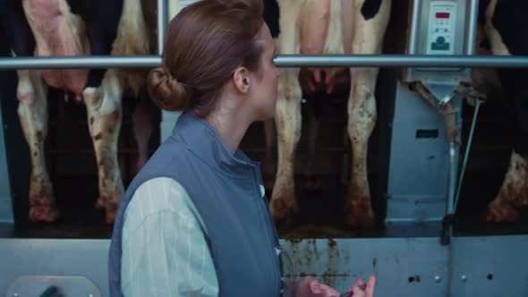 Woman Inspect Milking Equipment Hold Tablet Computer in Modern Parlour Closeup alt