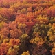 Autumn Foliage Aerial View Vibrant Forest Trees - VideoHive Item for Sale