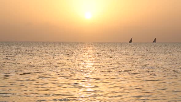 Traditional Fishing Boats Sailing at Sunrise