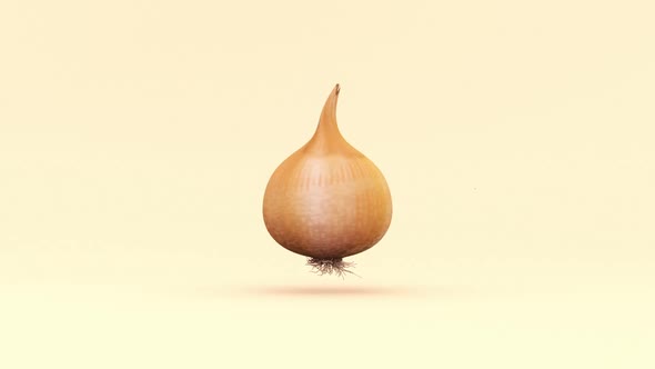 Animation 3D Onion Spinning in the Air