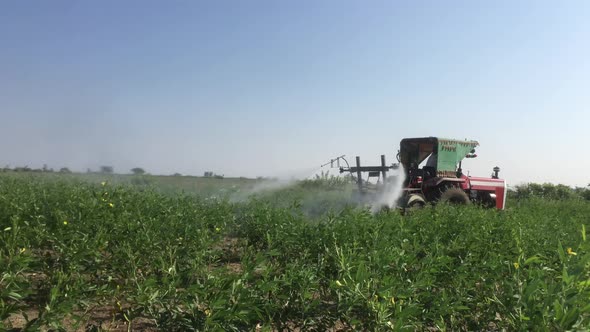 Farmer using pesticide to the Toor Dal or  Pigeon Pea trees in tractor o protect from pests in Karna alt