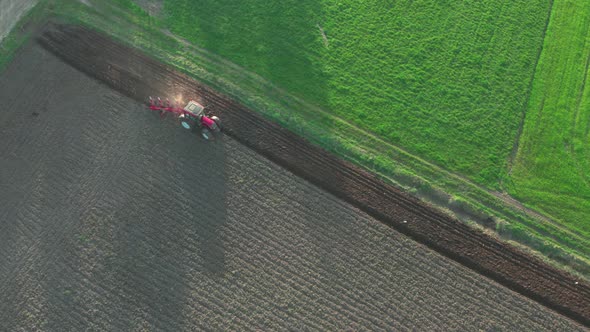 Drone Shot Aerial Fly Through Mixed Forest Between Trees in Sunny Spring Season Drone Shot Aerial alt