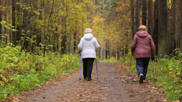 Women walking along a path in park