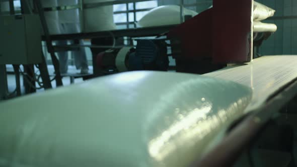 Full Bags Lie on the Conveyor Belt alt