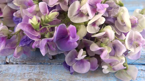 Colorful summer garden flowers: a bouquet of lilac sweet peas falls on a vintage wooden alt