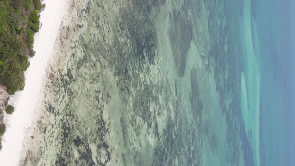 Vertical Video of the Ocean Near the Coast of Zanzibar Tanzania Aerial View alt