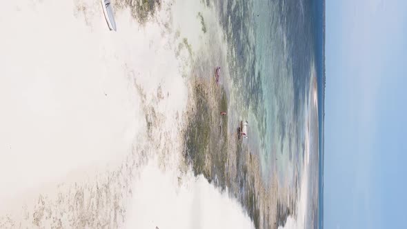 Zanzibar Tanzania  Vertical Video of Low Tide in the Ocean Near the Coast Slow Motion alt