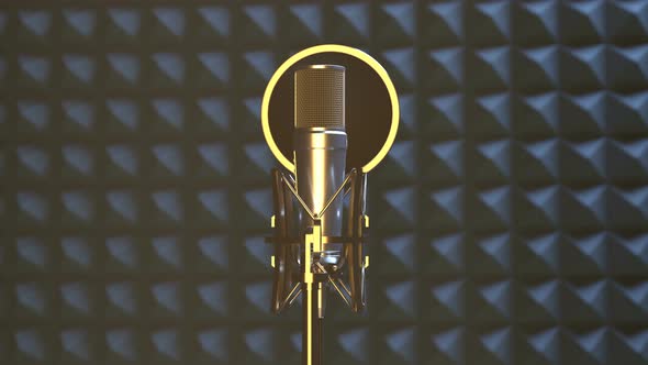 Professional Microphone in Sound Recording Studio alt