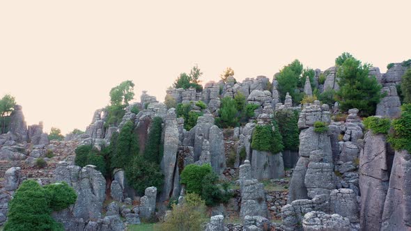 Stunning Landscape with Amazing Gray Rock Formations and Coniferous Trees alt