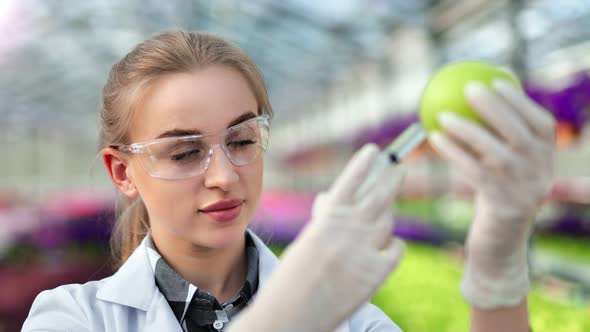 Closeup Female Chemist Injecting Ripe Green Apple Using Syringe Analyzing Quality of Fruit alt