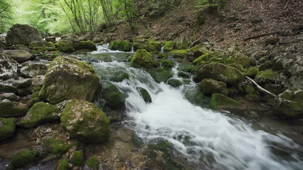 Stones and Rocks Covered By Moss Along Water Stream Flowing Through Green Summer Forest alt