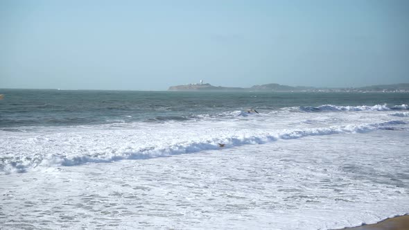 Many birds flying by at the beach, Half Moon Bay. alt
