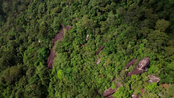Tropical forest jungle landscape on mountain side with some rocks exposed in Ko Samui, Thailand alt