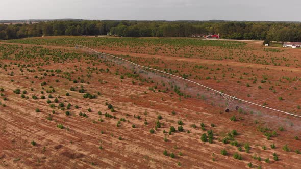 Aerial View Of Tree Farm And An Agricultural Sprinkler