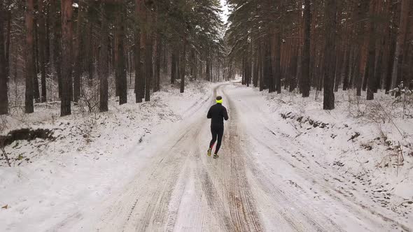 Running In The Winter Forest