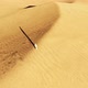 Arab Male Walk on Dunes - VideoHive Item for Sale