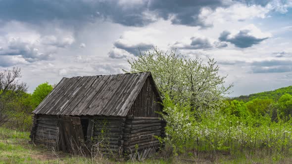 Old Wooden House in the Forest in Cloudy Weather