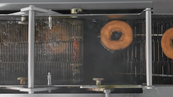 Doughnuts or Donut on Conveyor Belt in Factory a Type of Fried Dough Confectionery or Dessert Food alt