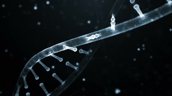 Abstract Digital Random Digits Plexus DNA Molecule