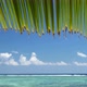 Palm Leaf on Tropical Beach Peaceful Swaying in Breeze Against Ocean Reef, Blue Sky and White Clouds - VideoHive Item for Sale