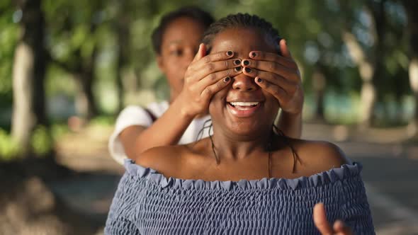 Portrait of Surprised African American Woman Smiling As Friend Covering Eyes with Hands alt