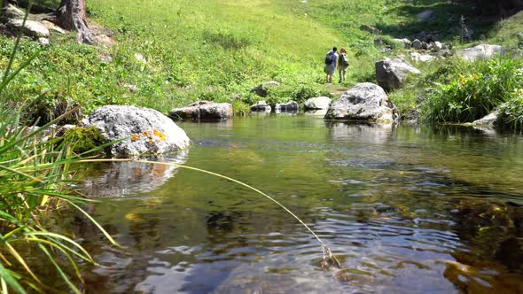 Mountain Clear Water of Stream and Green Fields alt