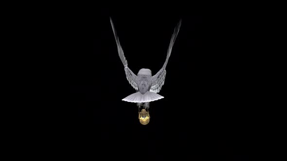 White Owl With Golden Lantern - Flying Loop - Back View - Alpha Channel