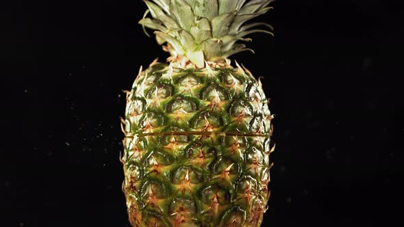 Fresh Pineapple Fruit Squirting and Burst with Juice in Slow Motion in Black Background alt