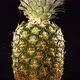 Fresh Pineapple Fruit Squirting and Burst with Juice in Slow Motion in Black Background - VideoHive Item for Sale