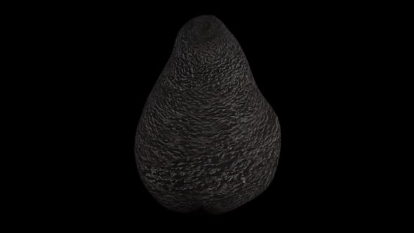 Animation of a spinning avocado on a black background
