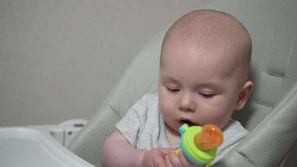 Infant Nibble Food on High Chair Nibbler for Kid Feeding