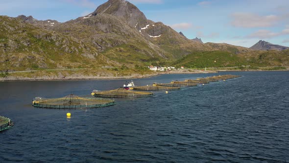 Farm Salmon Fishing in Norway alt