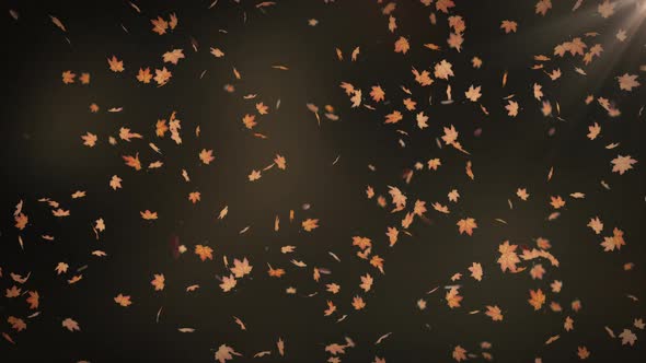 Autumn Leaves Falling Animation with Light