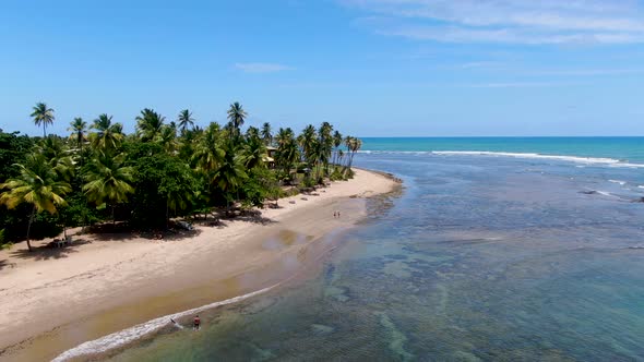 Aerial View of Tropical White Sand Beach, Palm Trees and Turquoise Clear Sea Water in Praia Do Forte alt