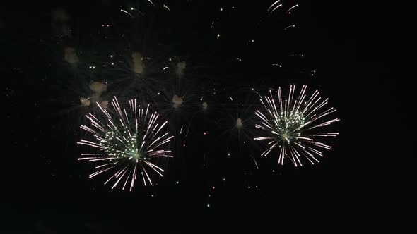 Real Firework Close Up on Deep Black Background Sky on Fireworks Festival Before New Year Party alt