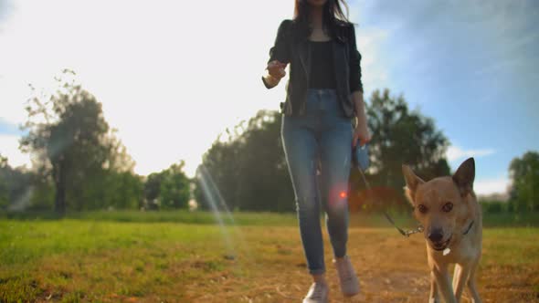 Attractive Handsome Woman in Jeans Leads Her Dog on a Leash in the Park. alt